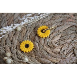 Marguerite - jaune et noire