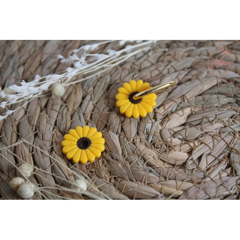 Marguerite - jaune et noire