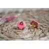 Puces d'oreille - cerise - rouge et rose