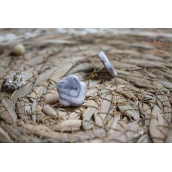 Puces d'oreille - marbrée gris et blanc