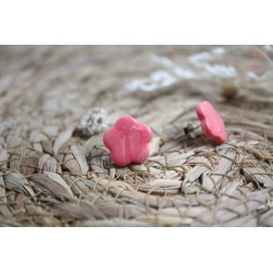 Puces d'oreille - marbrée rose et blanche