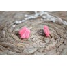 Puces d'oreille - marbrée rose