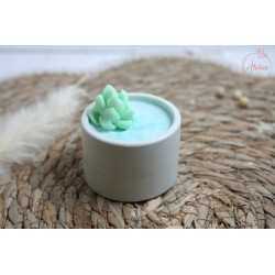 Mini bougie Cactus