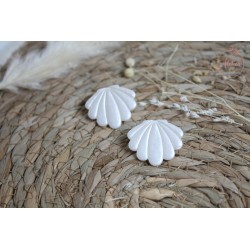 Puces d'oreille - Coquillage irisé